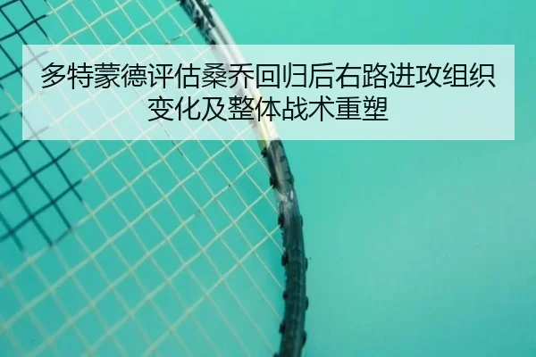 多特蒙德评估桑乔回归后右路进攻组织变化及整体战术重塑 - kaiyun